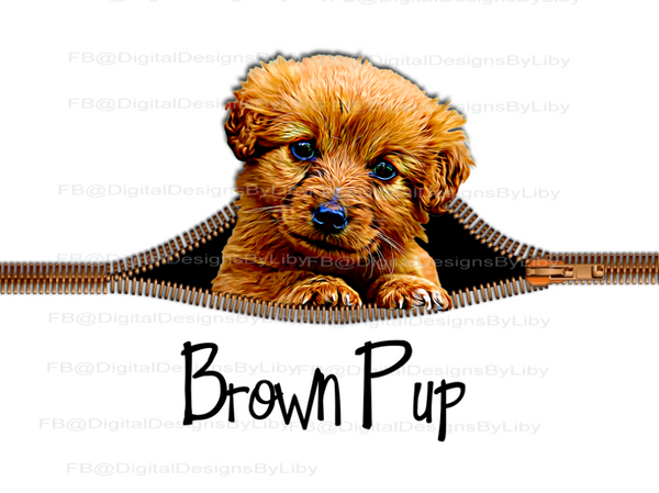 ZIPPER PUPPIES SET 1 (CHOOSE FROM 8 BREEDS)