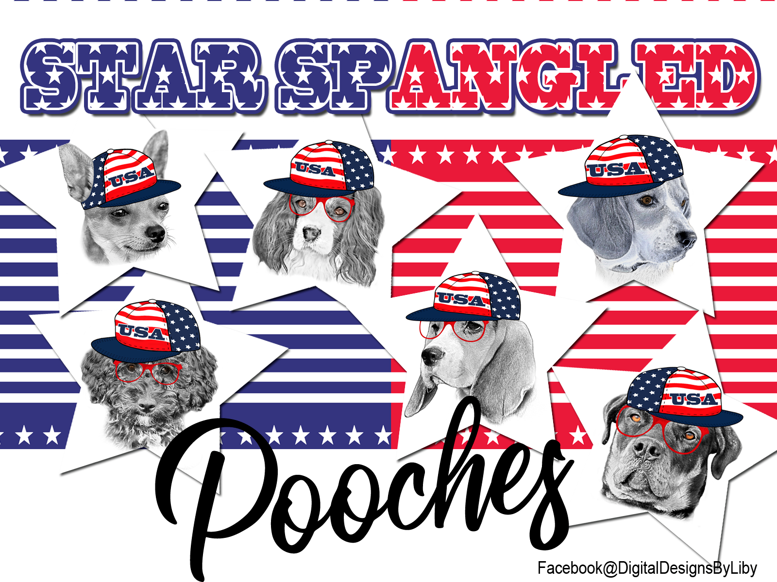 Star Spangled Pooches T-Shirt Design (Poodle)