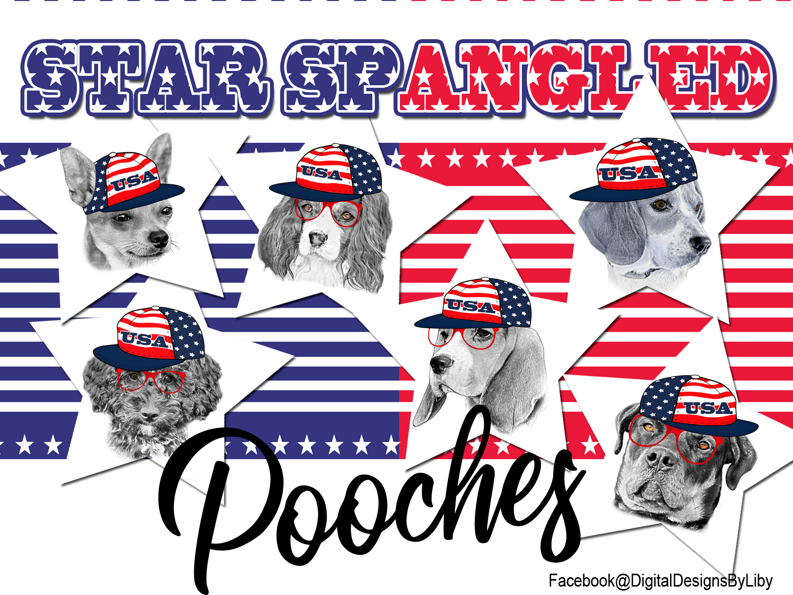 Star Spangled Pooches T-Shirt Design (Rottie)
