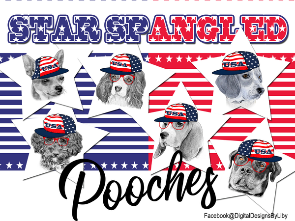 Star Spangled Pooches T-Shirt Design (Rottie)